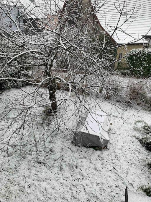 Gite Cosy Pour 2 A 4 Personnes, Village Proche Mulhouse Burnhaupt-le-Bas Exterior foto
